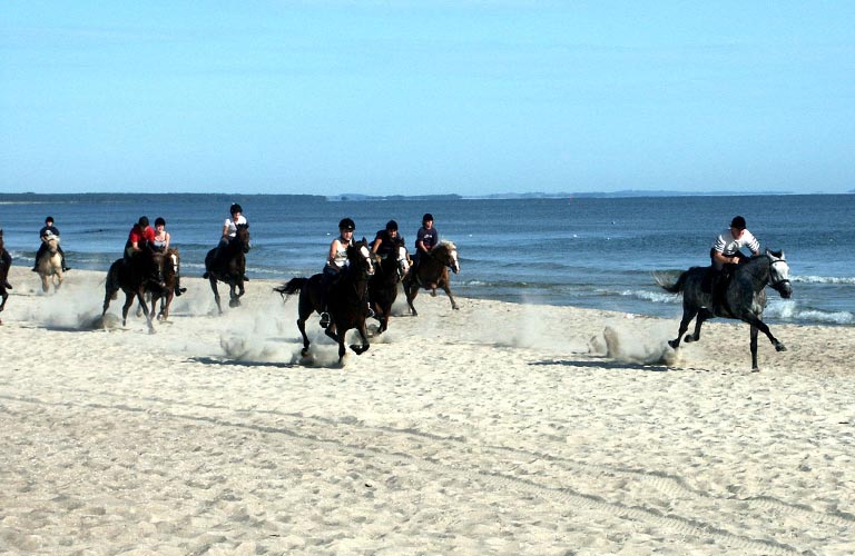 Urlaub mit dem eigenen Pferd - Reiterhof Bannemin Urlaub mit dem eigenen Pferd - Reiterhof Bannemin
