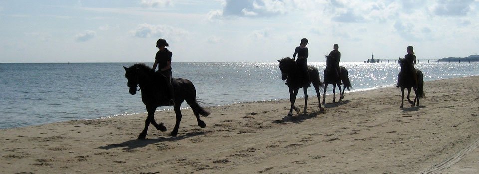 Reiten am Strand Reiten am Strand
